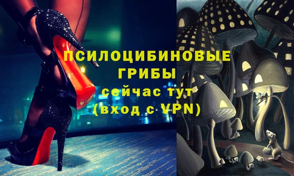 тгк Алексин