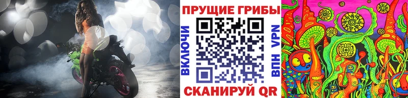 Купить закладки  Саратов  Псилоцибиновые грибы прущие грибы 